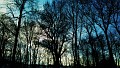 Bild 82