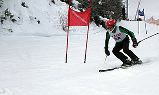 Bild 262