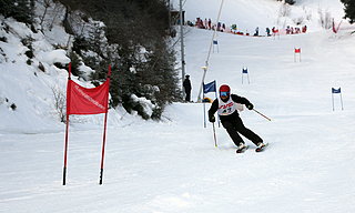 Bild 374