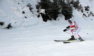 Bild 411